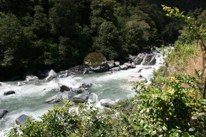 Nieuw-Zeeland 2011 - 1565
